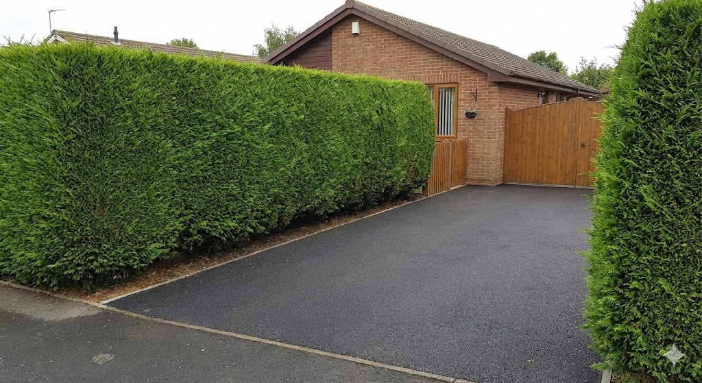 Front garden with tall, dense hedge and dark driveway