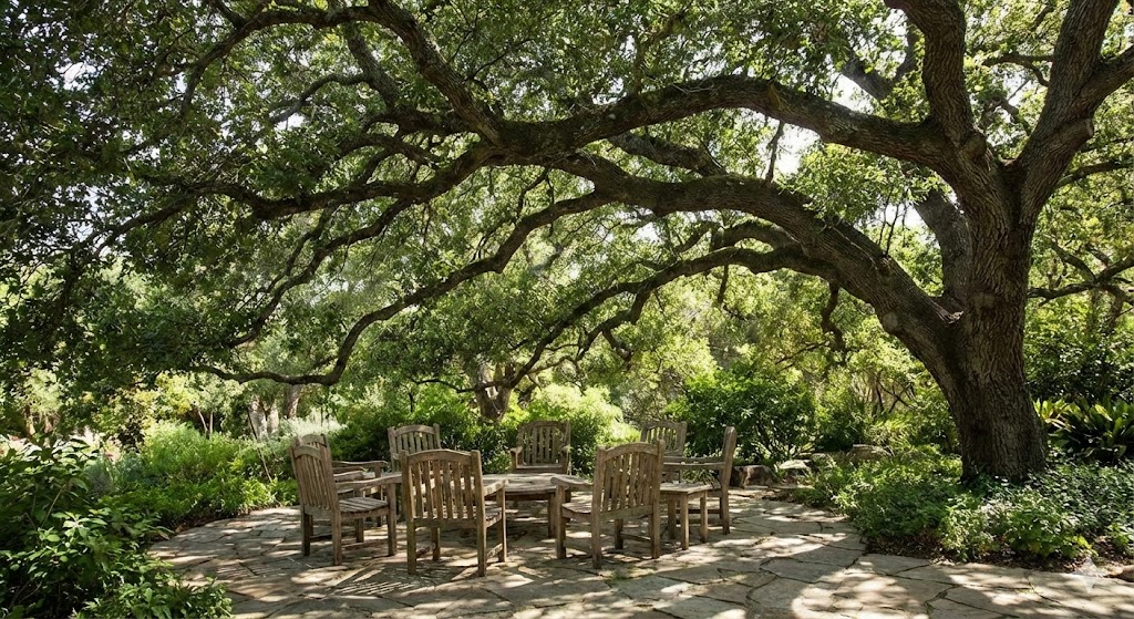 Patio overshadowed by spreading tree canopy